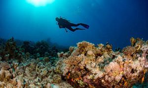 PADI Open Water Diver, der Einsteiger Tauchkurs in Soma Bay